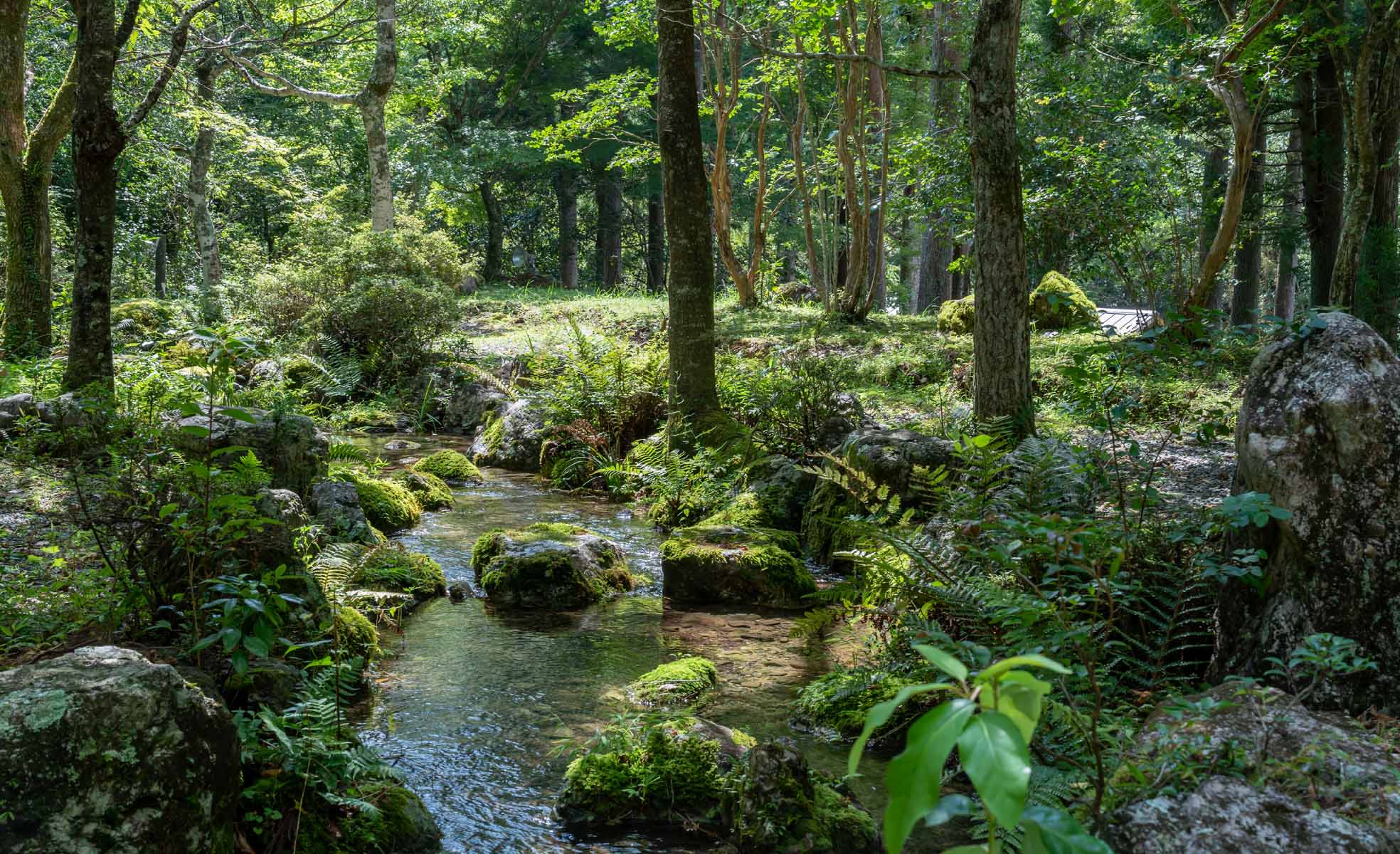 四季の森キャンプ場の夏の川遊び